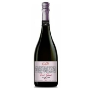 CAVA PANOT GAUDÍ PINOT NOIR