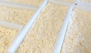 Elaboración queso zagal de la mesta