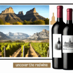 Regiones vinícolas famosas por su vino tinto – Rioja, Burdeos, Toscana y más.